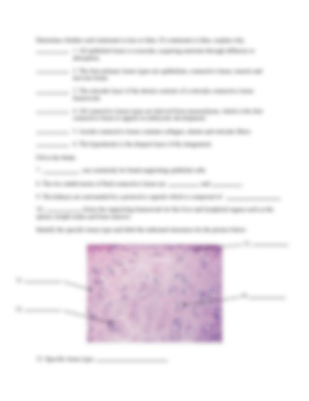 Michel Anatomy Tissue Types Review Worksheet.pdf_d3za30w9kwi_page2