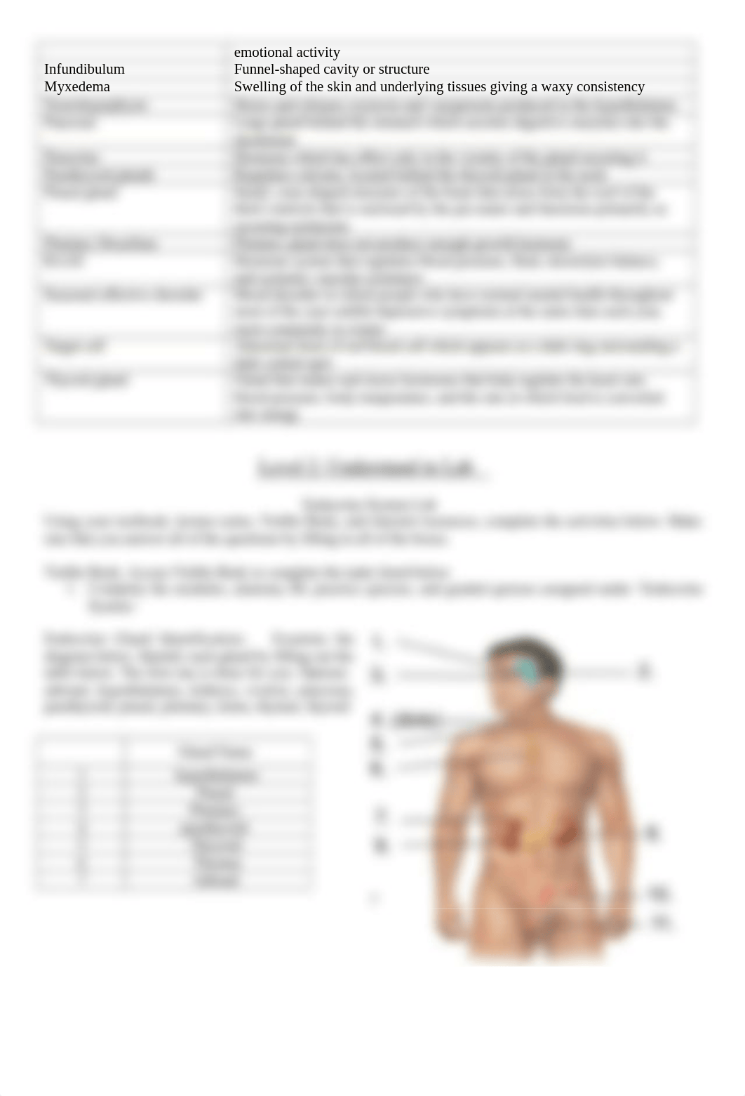 Lab 7 Endocrine System Portfolio(1).docx_d3zfuaww5w9_page2