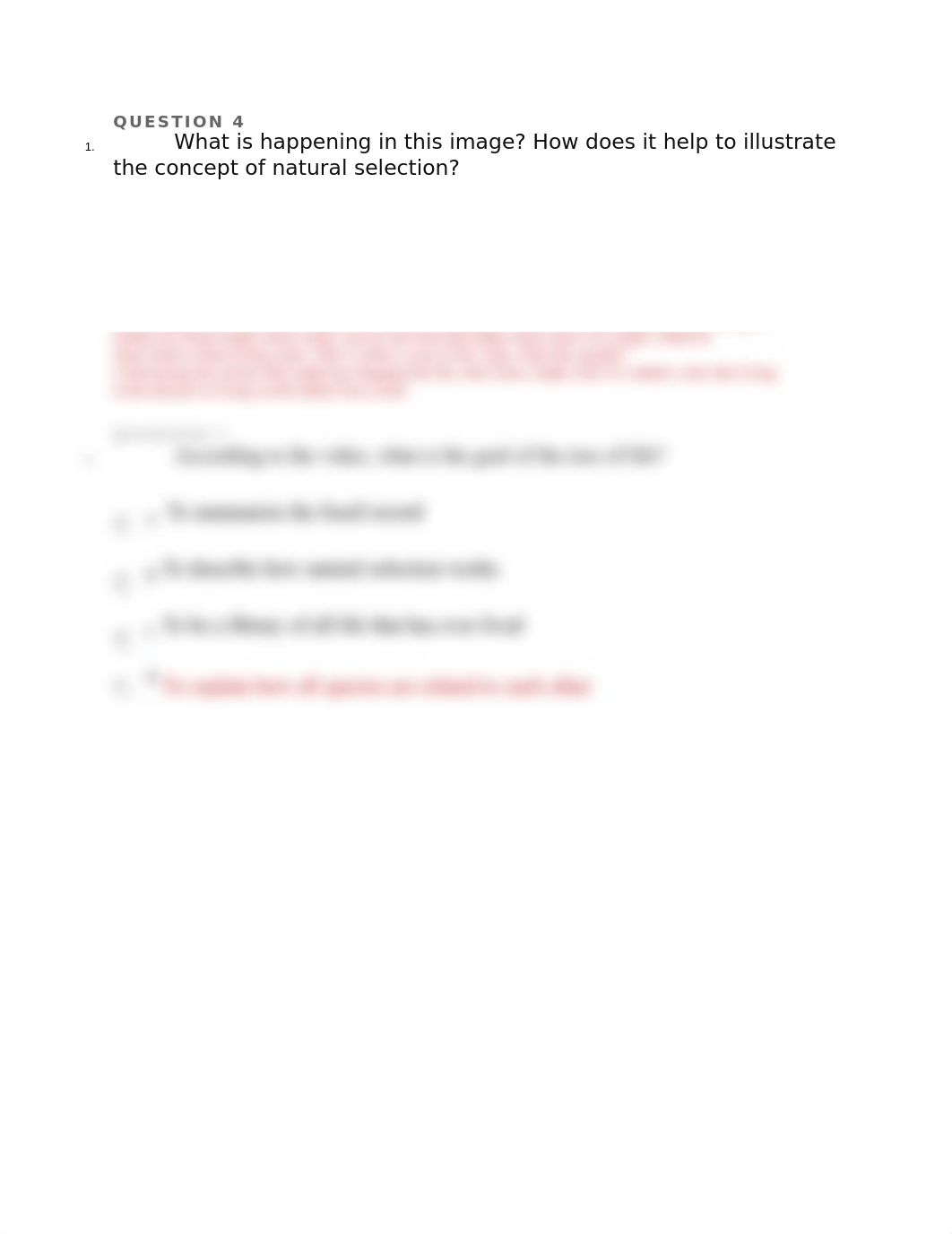 worksheet1.docx_d3zgh6i7vsj_page2