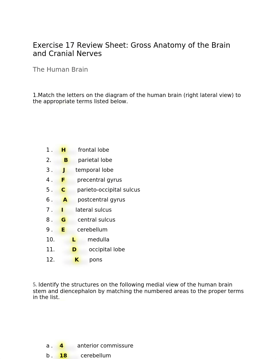 A&P CH14 EX17 REVIEW.docx_d3zlmlbjz63_page1