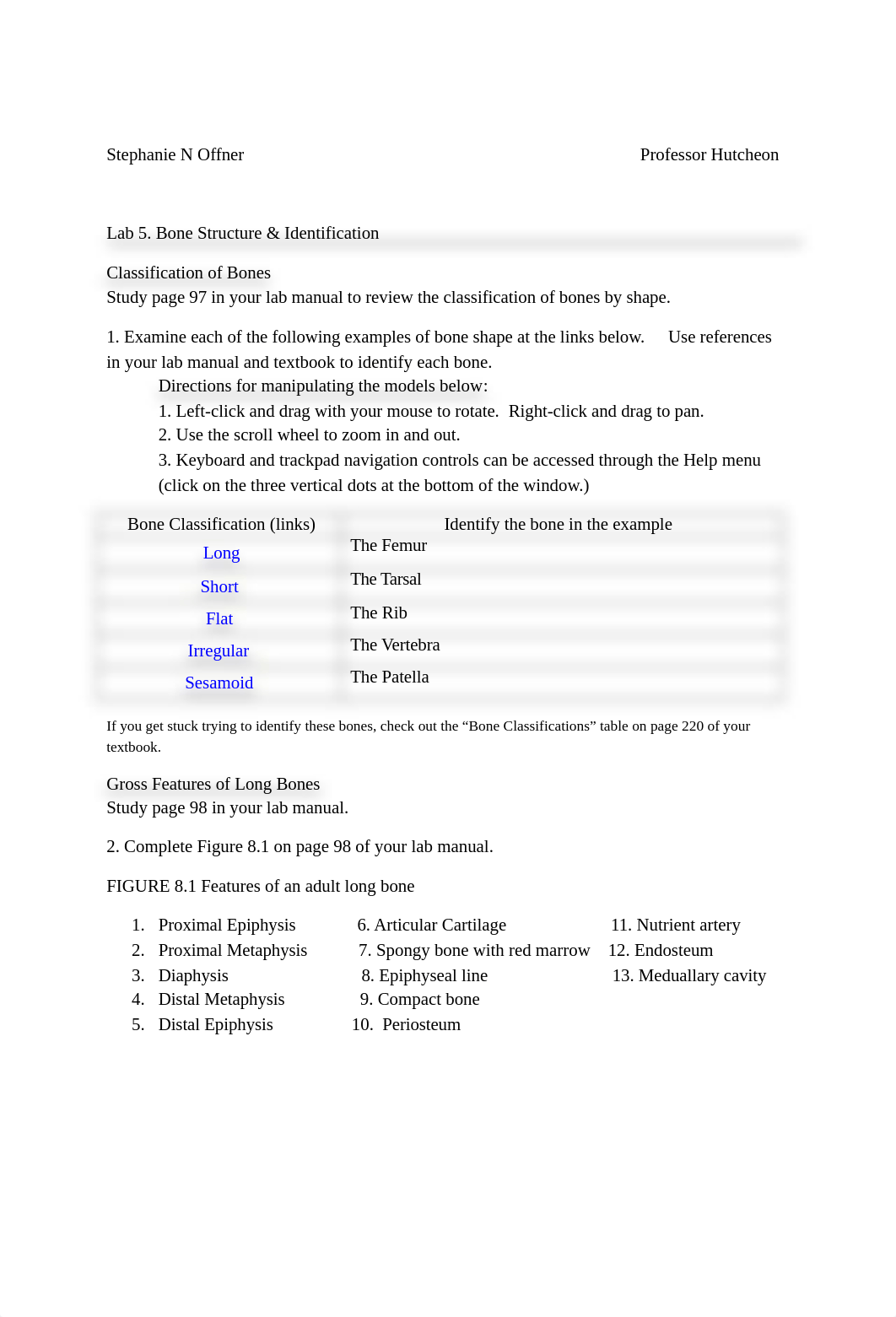 Lab 5.docx_d3zzgymkdl5_page1