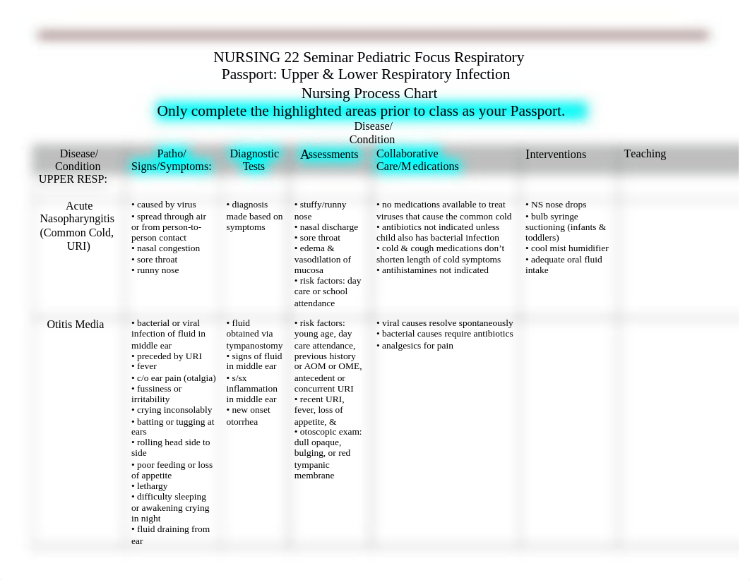 Passport_ Upper and Lower Respiratory Nursing Process Chart.docx_d3zzoxko7b0_page1