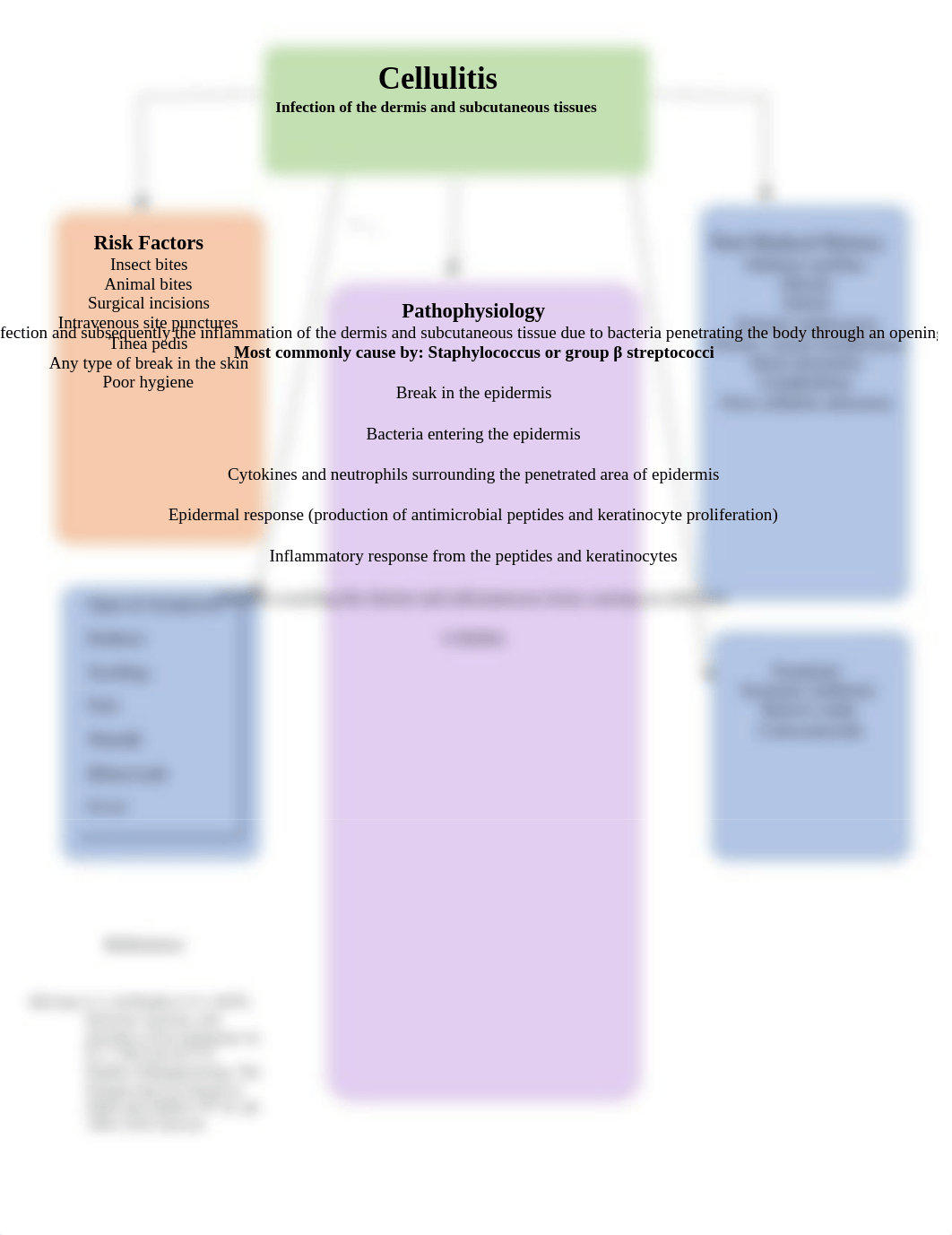 Cellulitis Concept Map.docx_d407tjwqf9z_page1