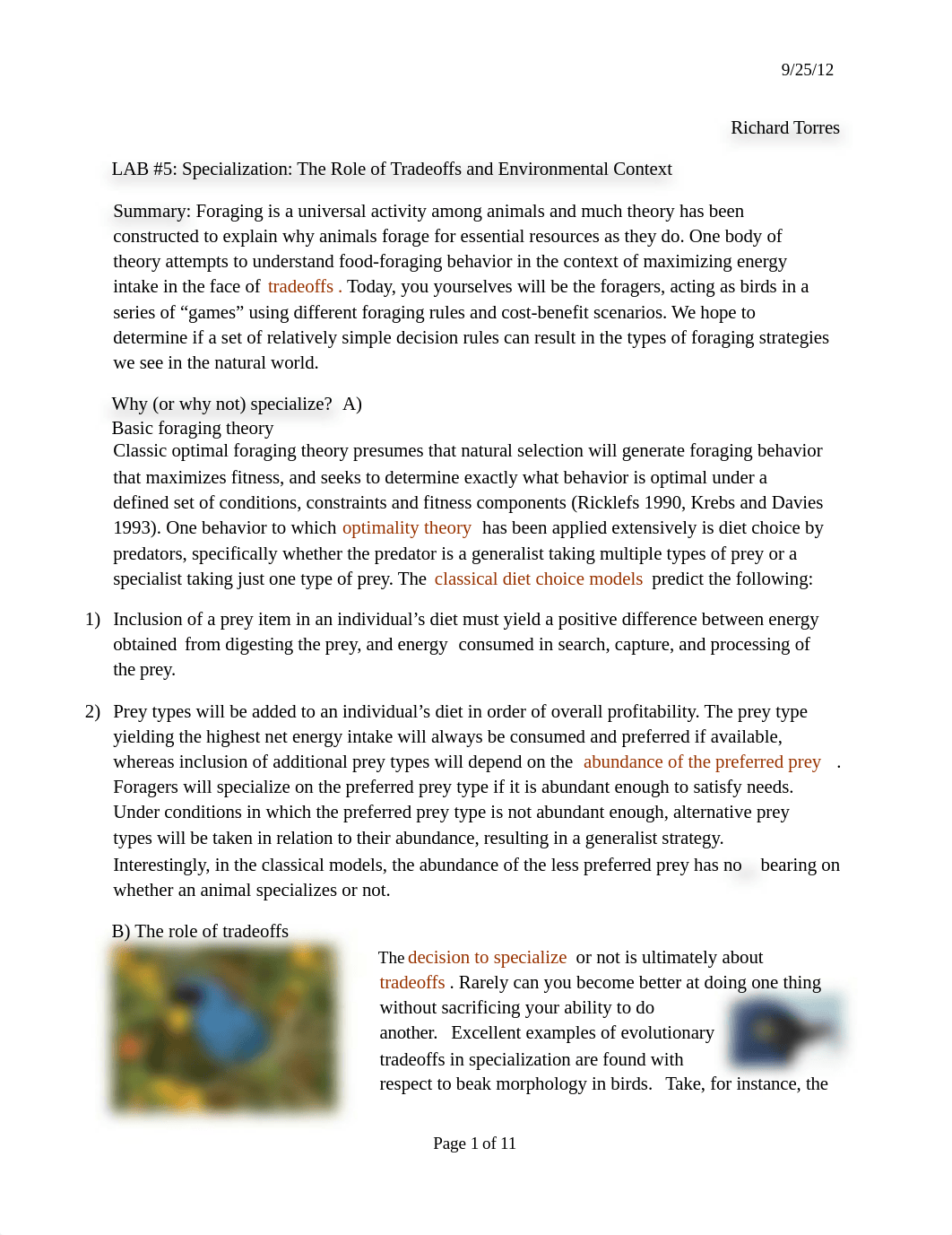 111Animal Behavior.Optimal_foraging.docx_d40a5g7u5o5_page1