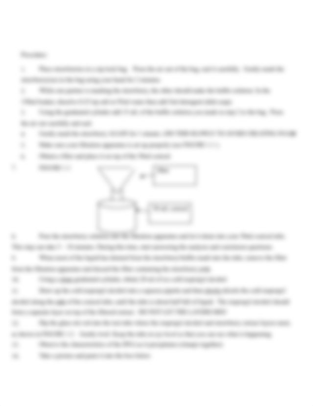 Copy of DNA extraction using strawberries.docx_d40k6ezoz9a_page2