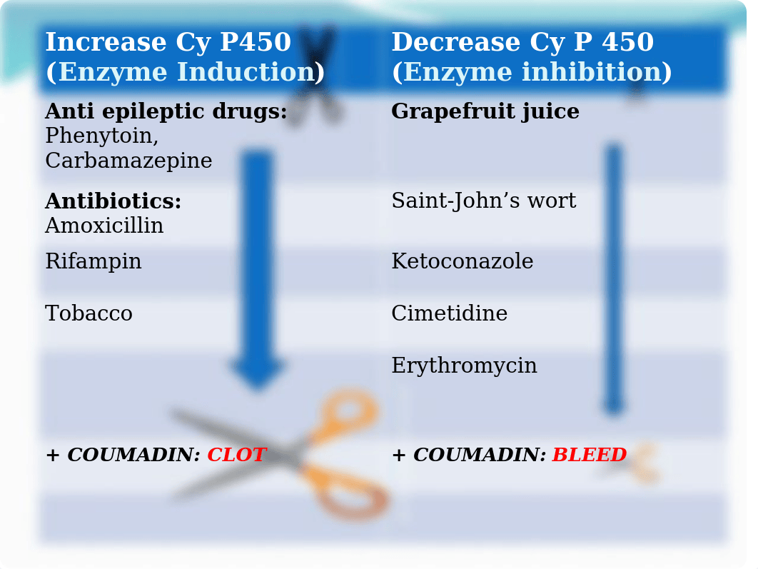 2. Pharmacologic Principles(1).pptx_d40l4ykwdq9_page5