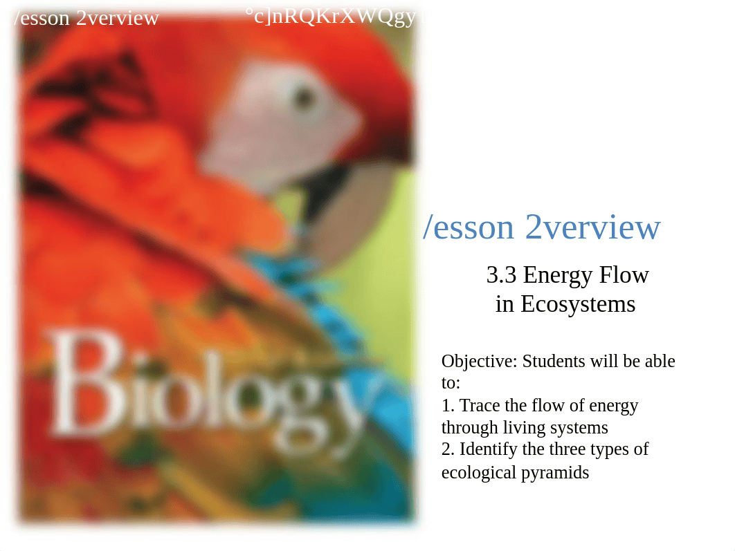 3.3 Energy Flow in Ecosystems.ppt.pdf_d40shapdix0_page1