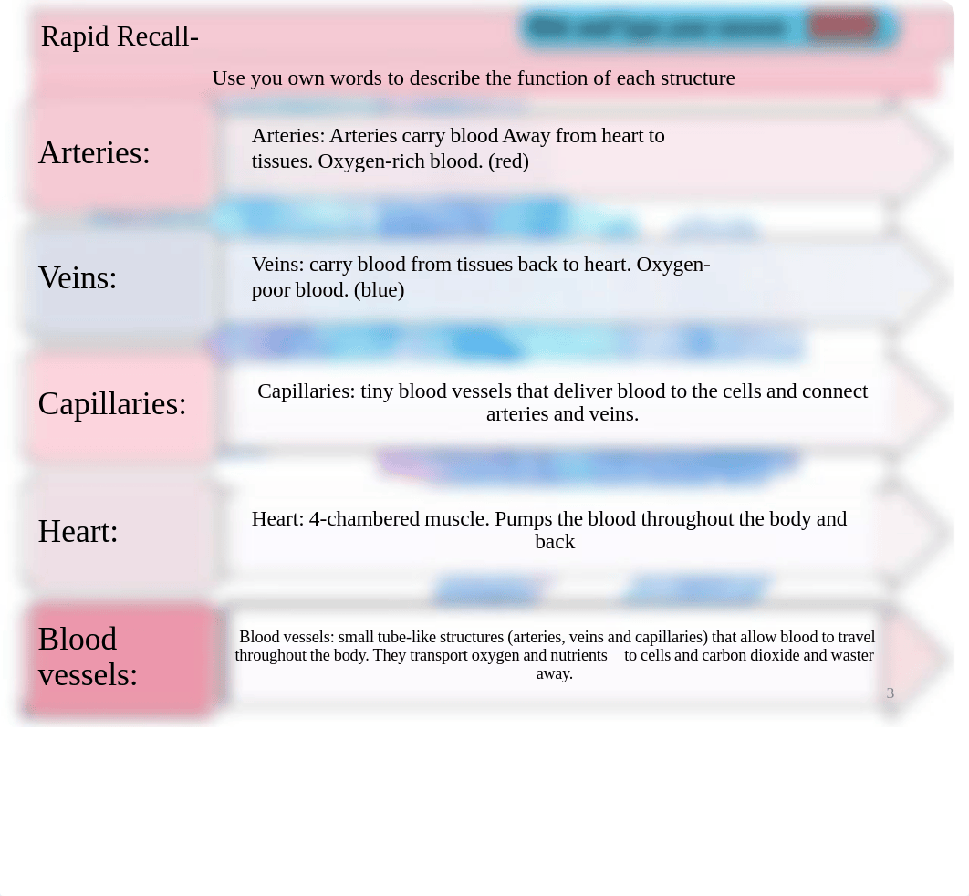 CARDIOVASCULAR  ANSWER KEY.pdf_d40wjvkkglz_page3