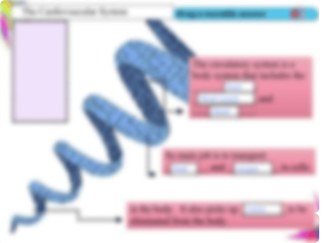 CARDIOVASCULAR  ANSWER KEY.pdf_d40wjvkkglz_page4