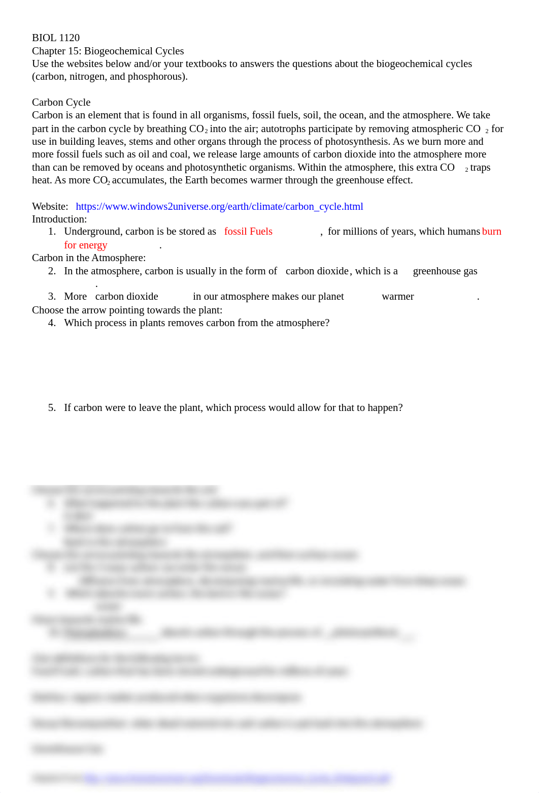 Biogeochemical Cycles.docx_d41872vhssy_page1