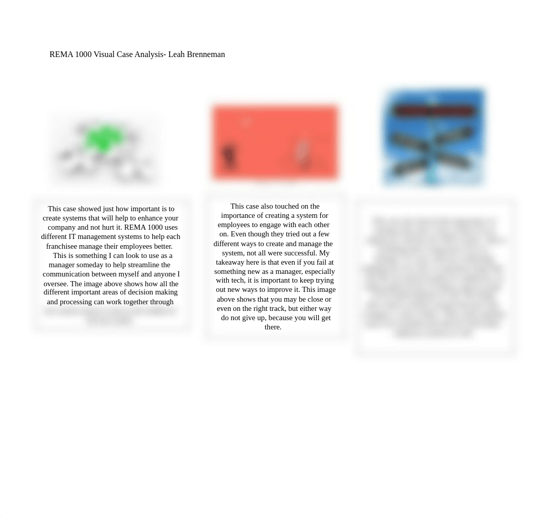 REMA 1000 Visual Case Analysis- Leah Brenneman .docx_d41c82kwnxq_page1