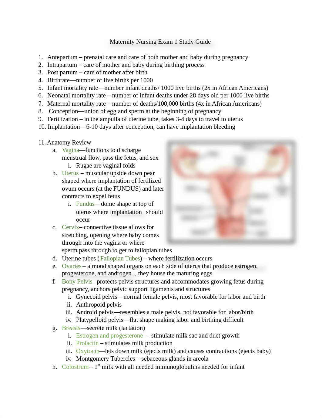 Maternity_Nursing_Exam_1_Study_Guide__1_.docx (2).pdf_d41juw96dnw_page1