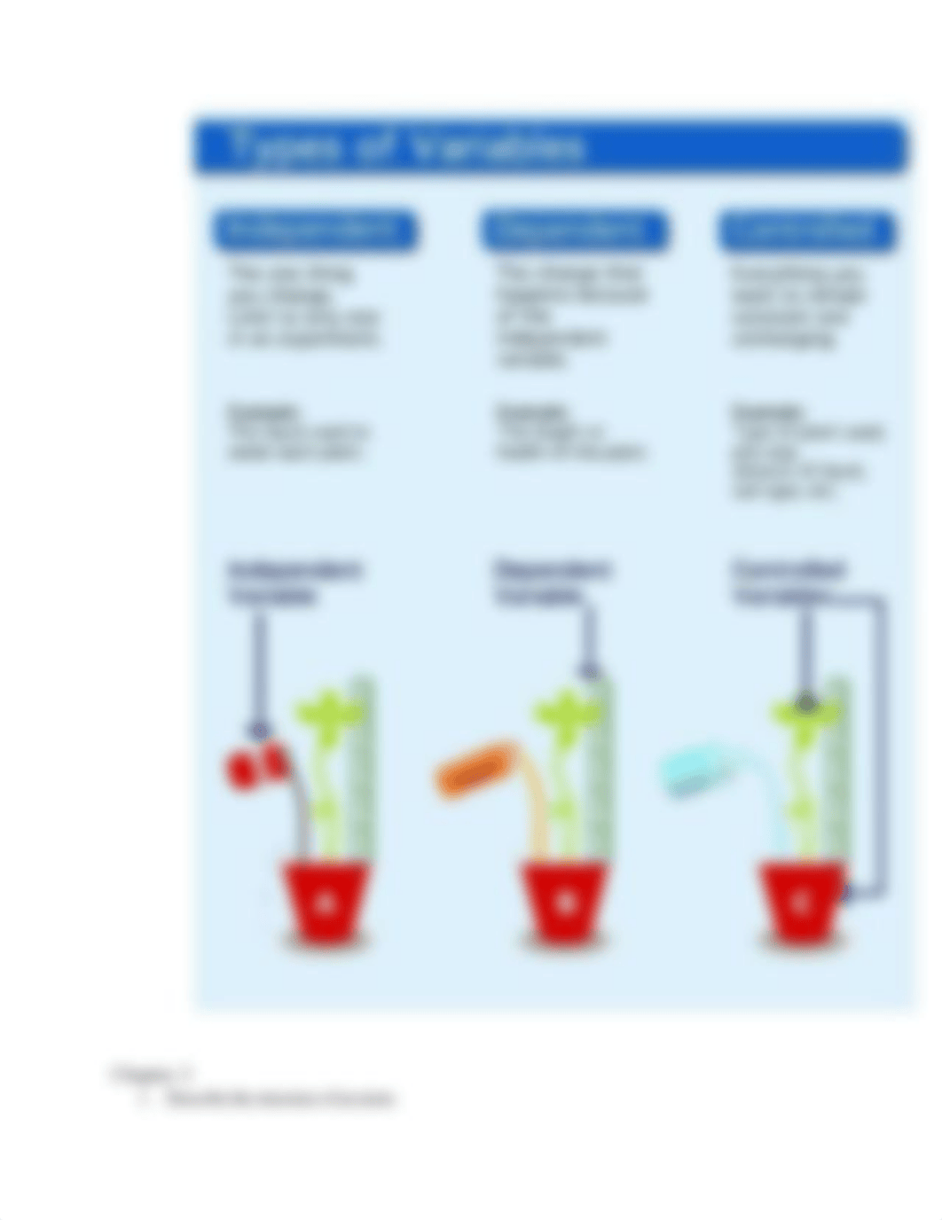 Bio Exam 1 Study guide.pdf_d41ydxveycp_page3