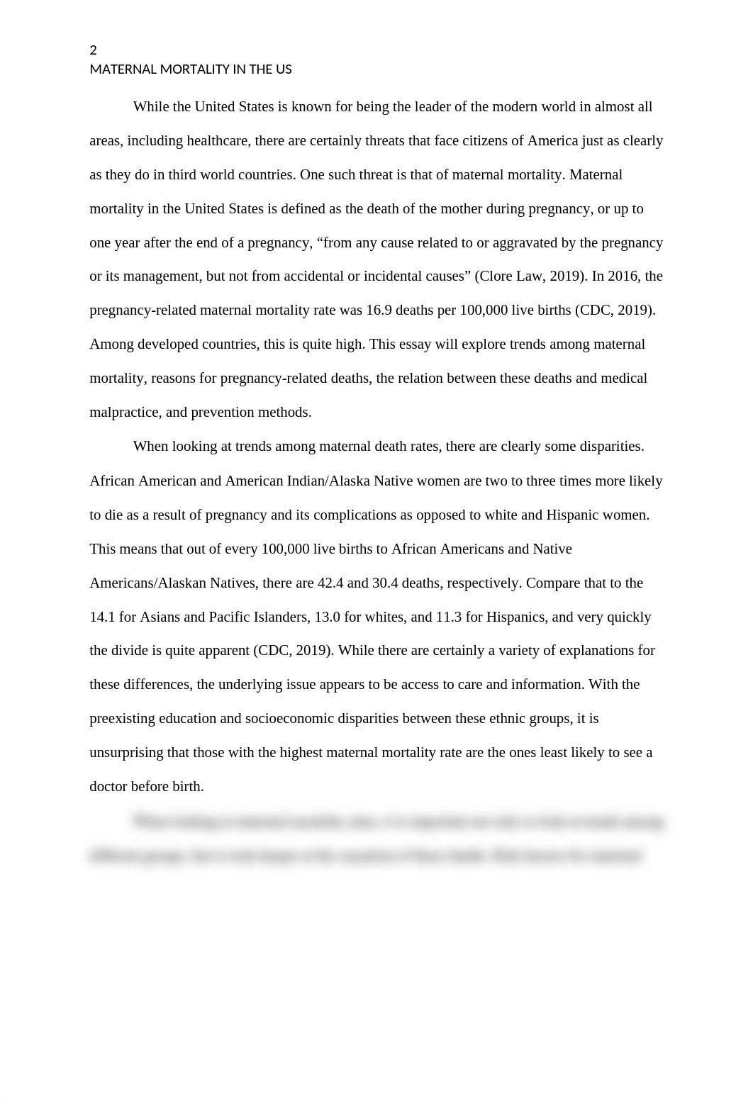 Maternal Mortality Essay.docx_d4219qpdkee_page2