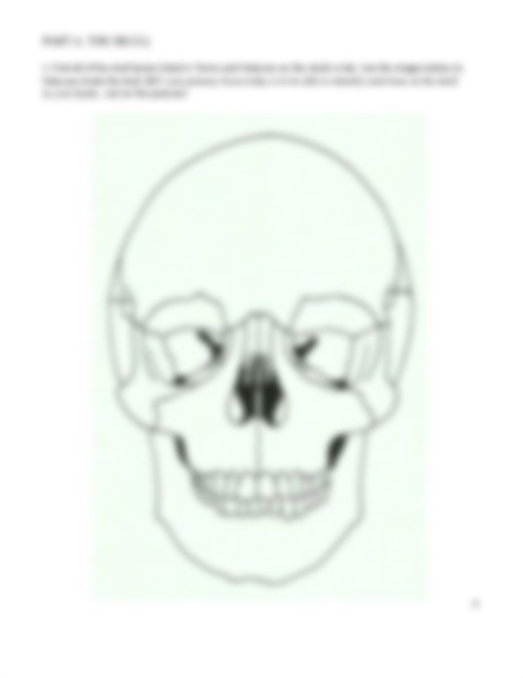 LAB 3 - Bones and Joints.pdf_d42gul7h451_page4