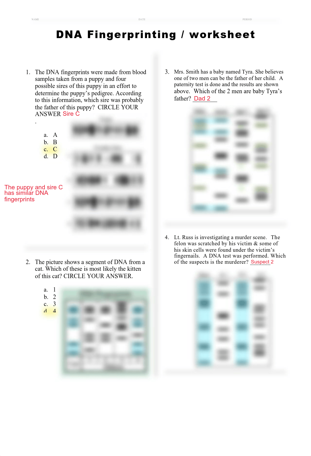 dna.fingerprinting.worksheet_.pdf_d42okhg0zrd_page1