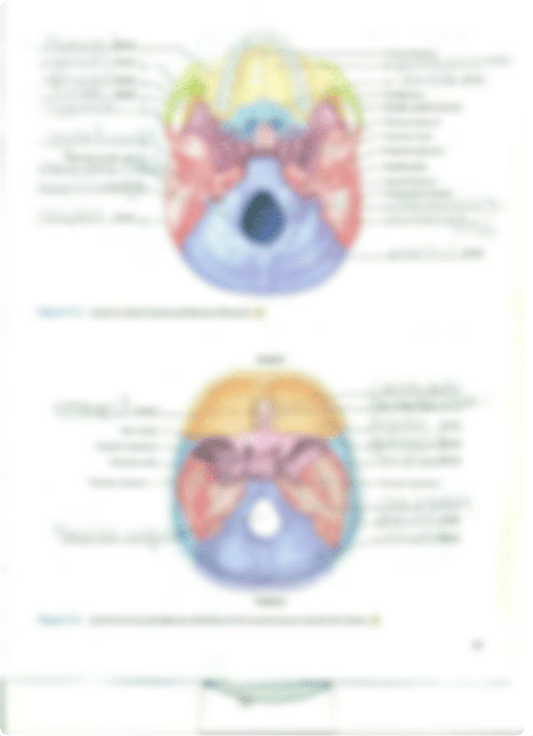 Chapter 11 The Skull_d437pt0mvrw_page3