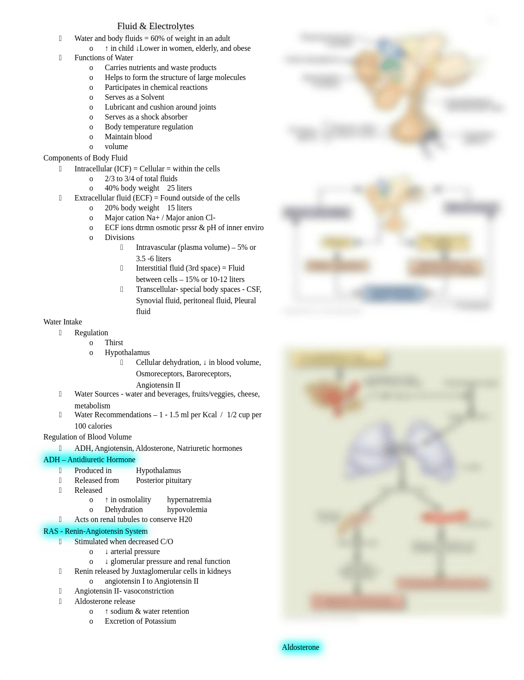 Fluid & Electrolytes-Imbalances 402 fa 18.docx_d43fcs85g1a_page1