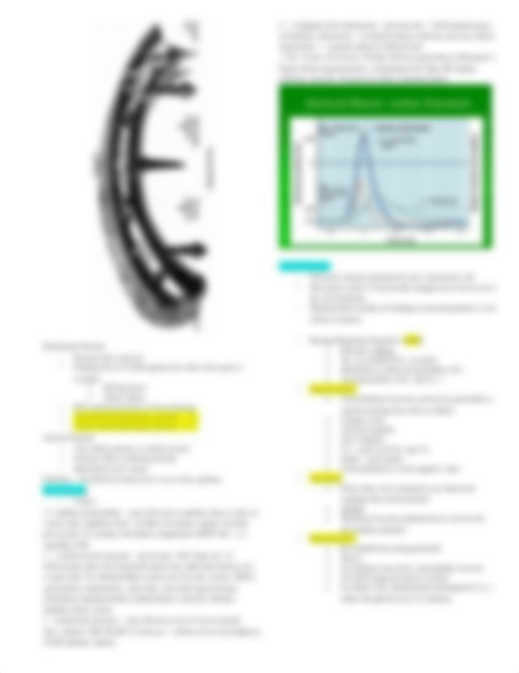 Fluid & Electrolytes-Imbalances 402 fa 18.docx_d43fcs85g1a_page3