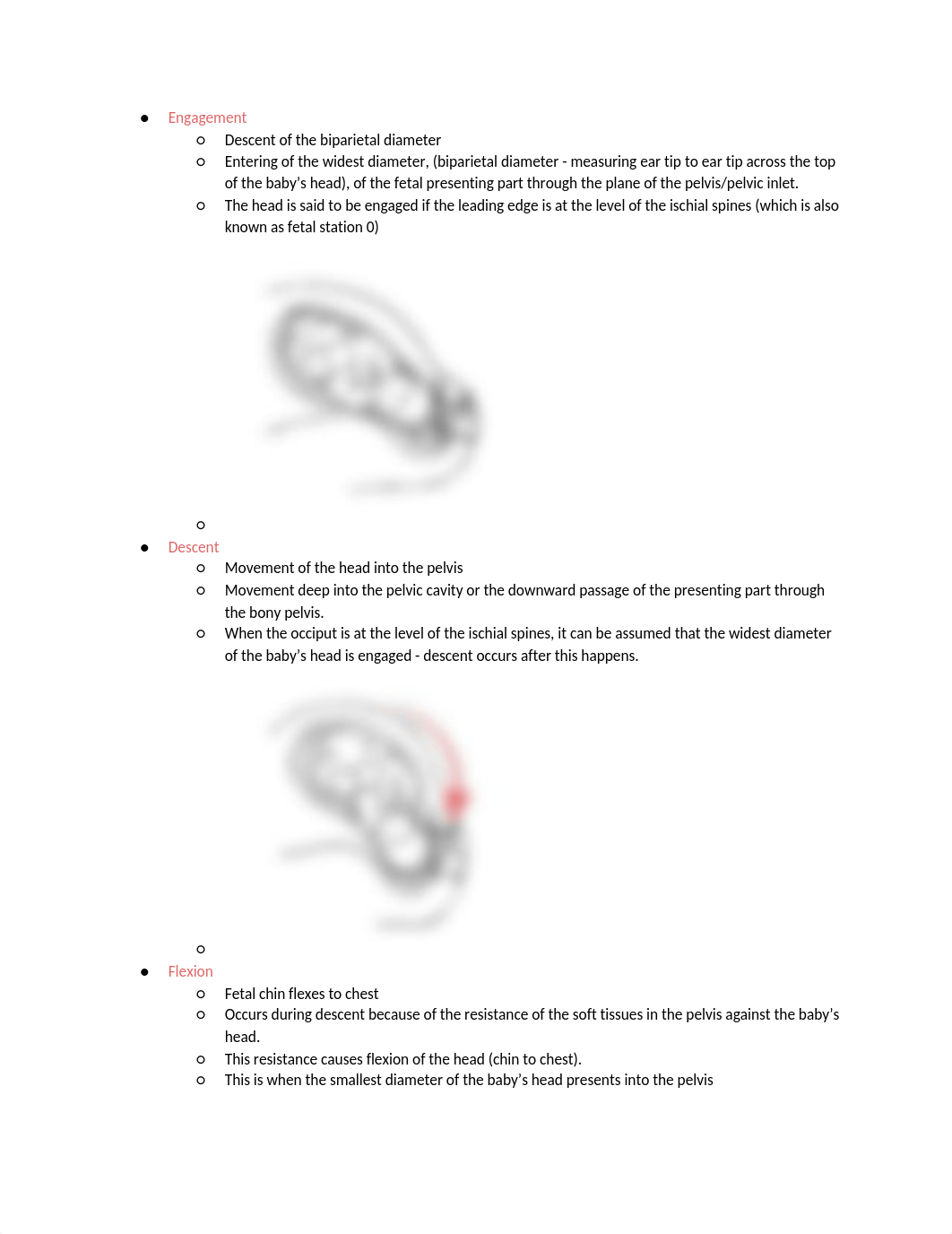 OB Quiz 2.docx_d43mps90llt_page2