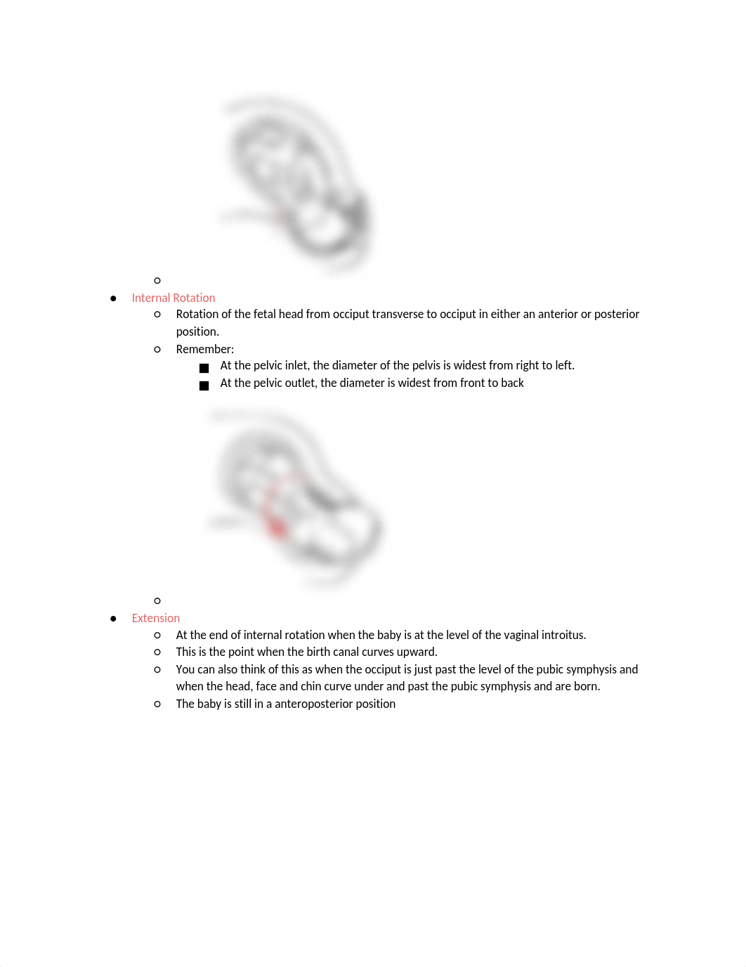 OB Quiz 2.docx_d43mps90llt_page3