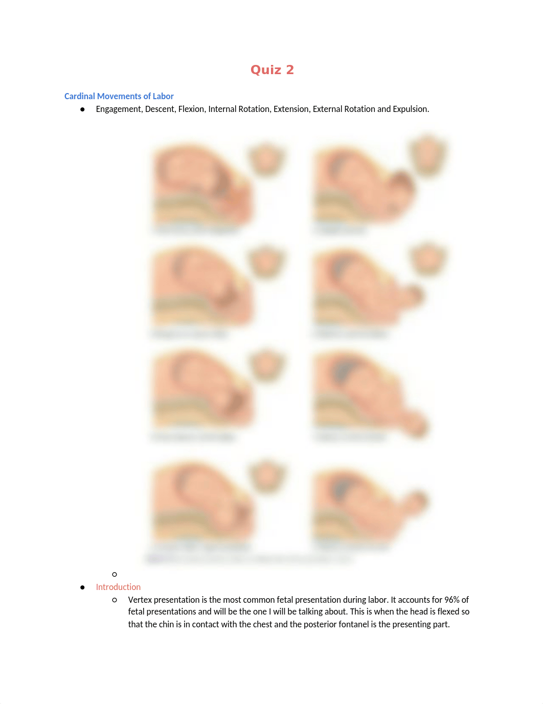 OB Quiz 2.docx_d43mps90llt_page1