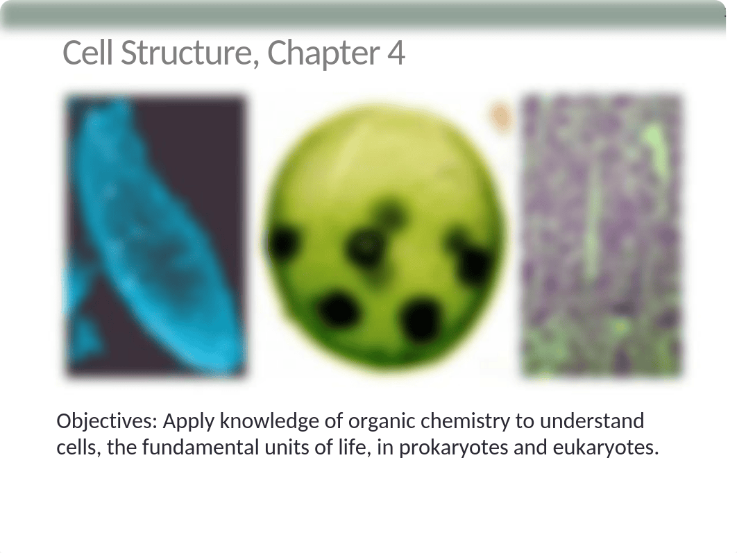 Chapter 4-Cell Structure.pptx_d43stv77iw3_page1