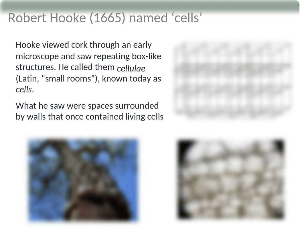 Chapter 4-Cell Structure.pptx_d43stv77iw3_page4