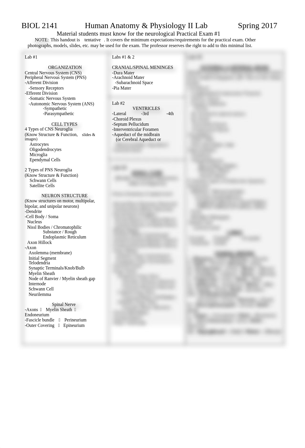 Practical 1 Study Sheet.pdf_d43ylj03auk_page1