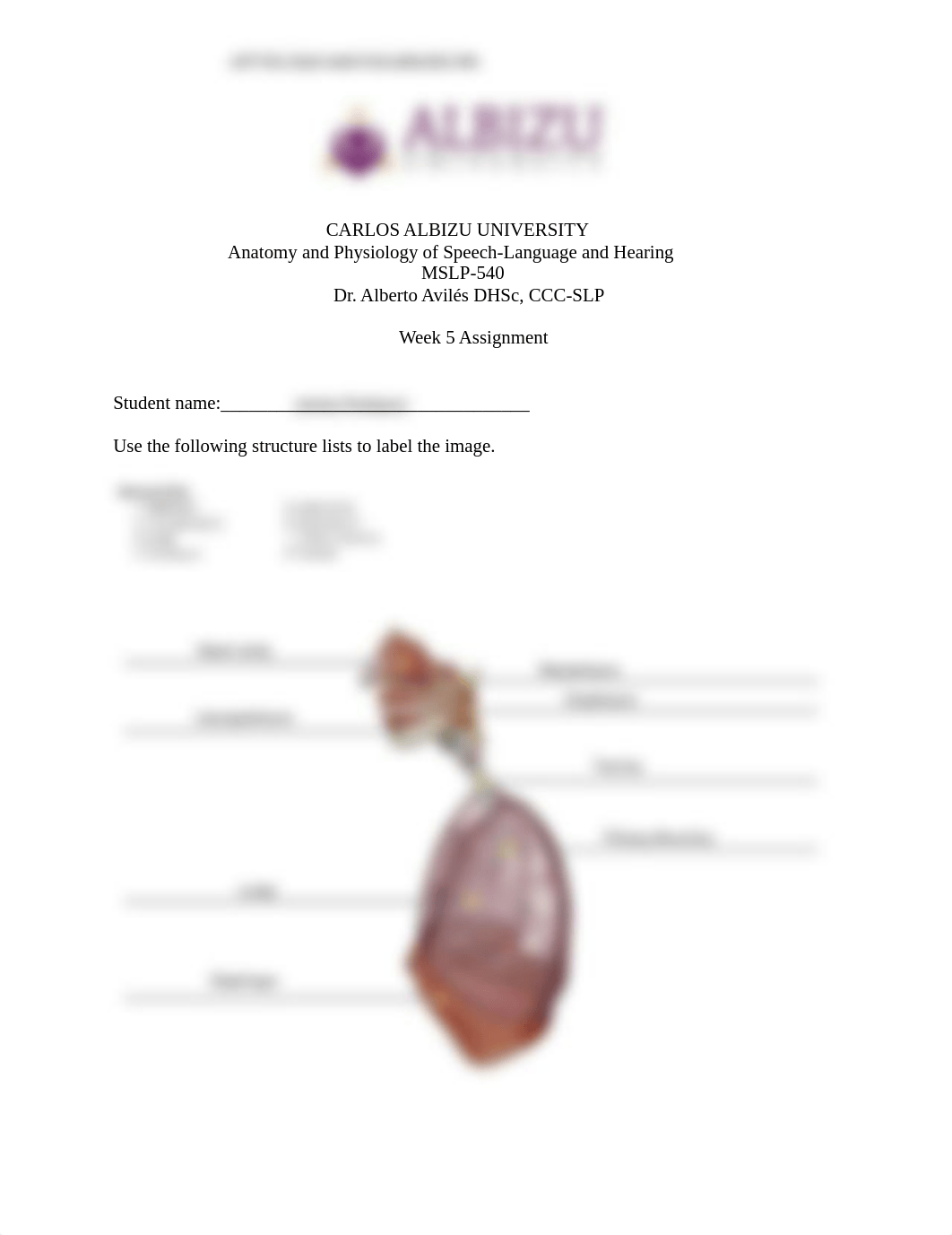 week 5 respiratory system assigment.pdf_d445rxhntff_page1