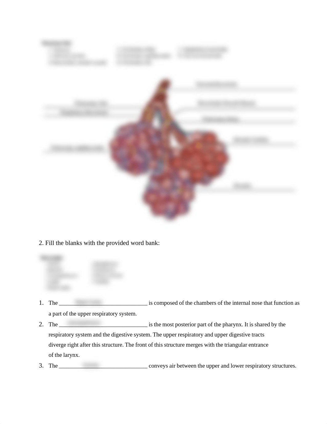 week 5 respiratory system assigment.pdf_d445rxhntff_page2