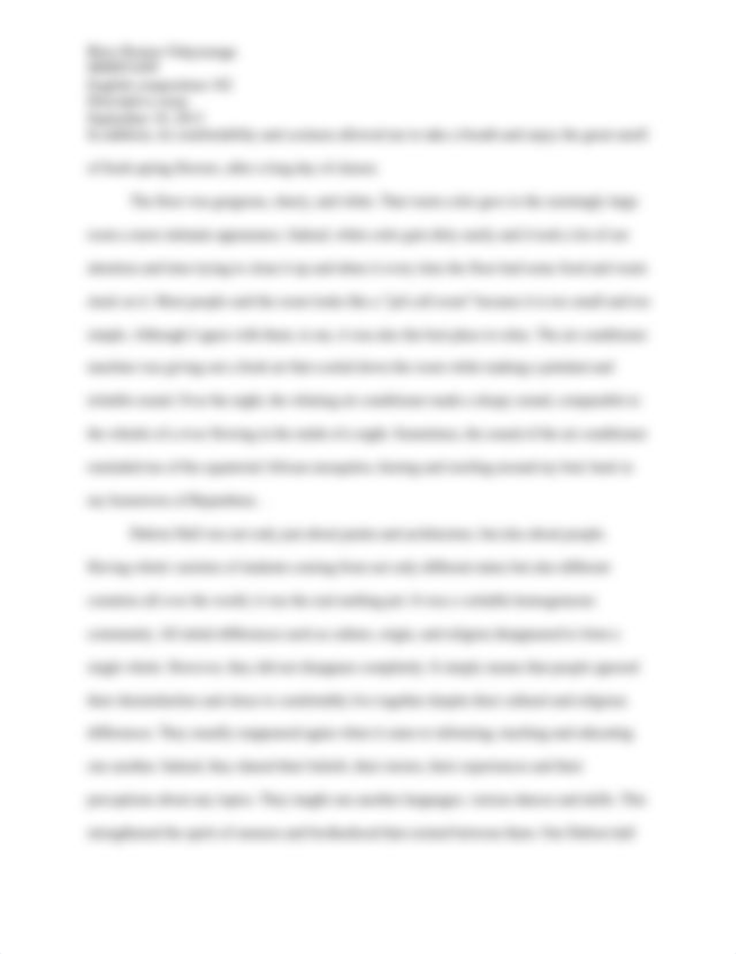 descriptive essay 102_d447qk10ou1_page2