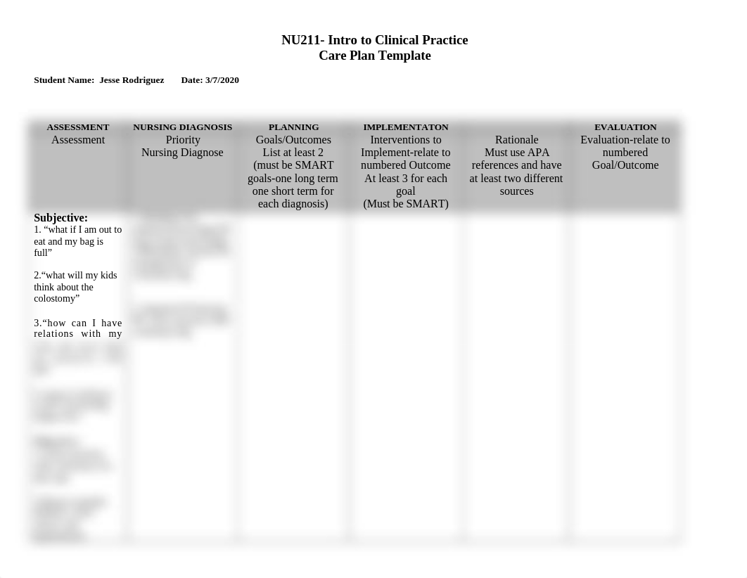 Care Plan 2.docx_d44cscbmc5p_page1