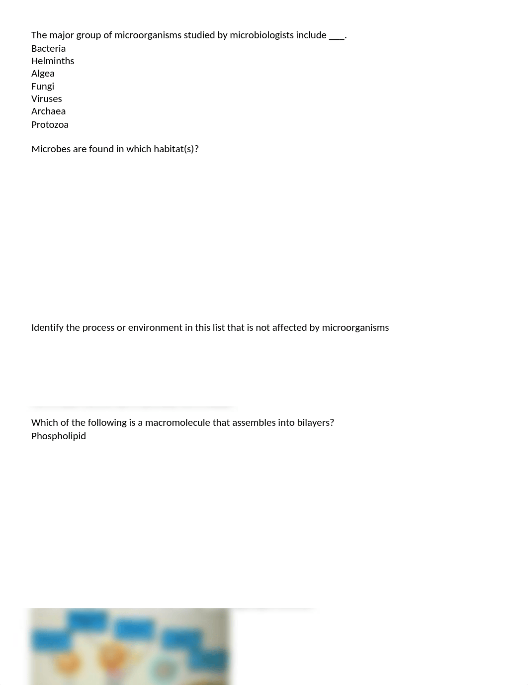 ch 1.docx_d44d9phbh17_page1