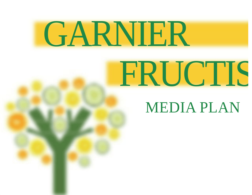 garnier-fructis-media-plan - Copy.pdf_d44l0g7l124_page1