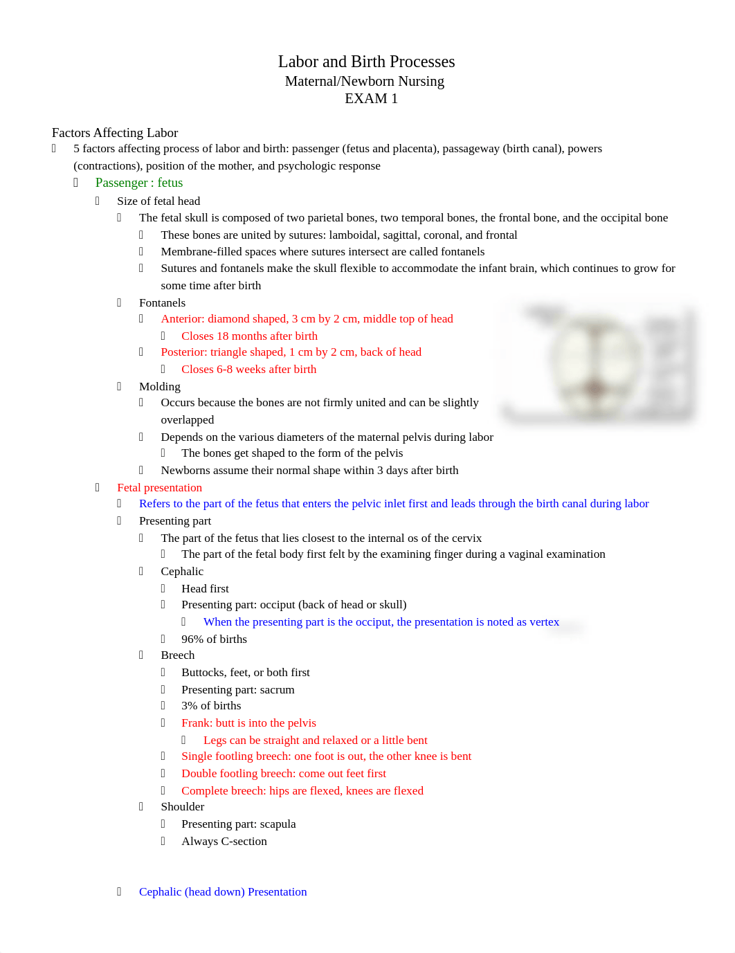 Labor and Birth Processes STUDY GUIDE.docx_d44rn6wnpo0_page1