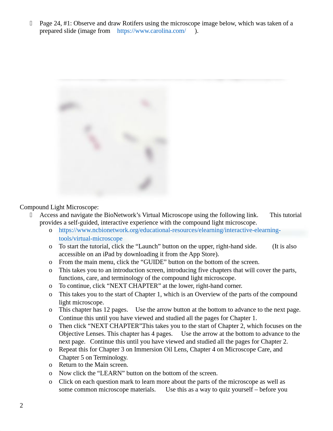 Virtual Lab 2 Microscopy and Cells_for Hybrid absense.docx_d44rt006yl3_page2