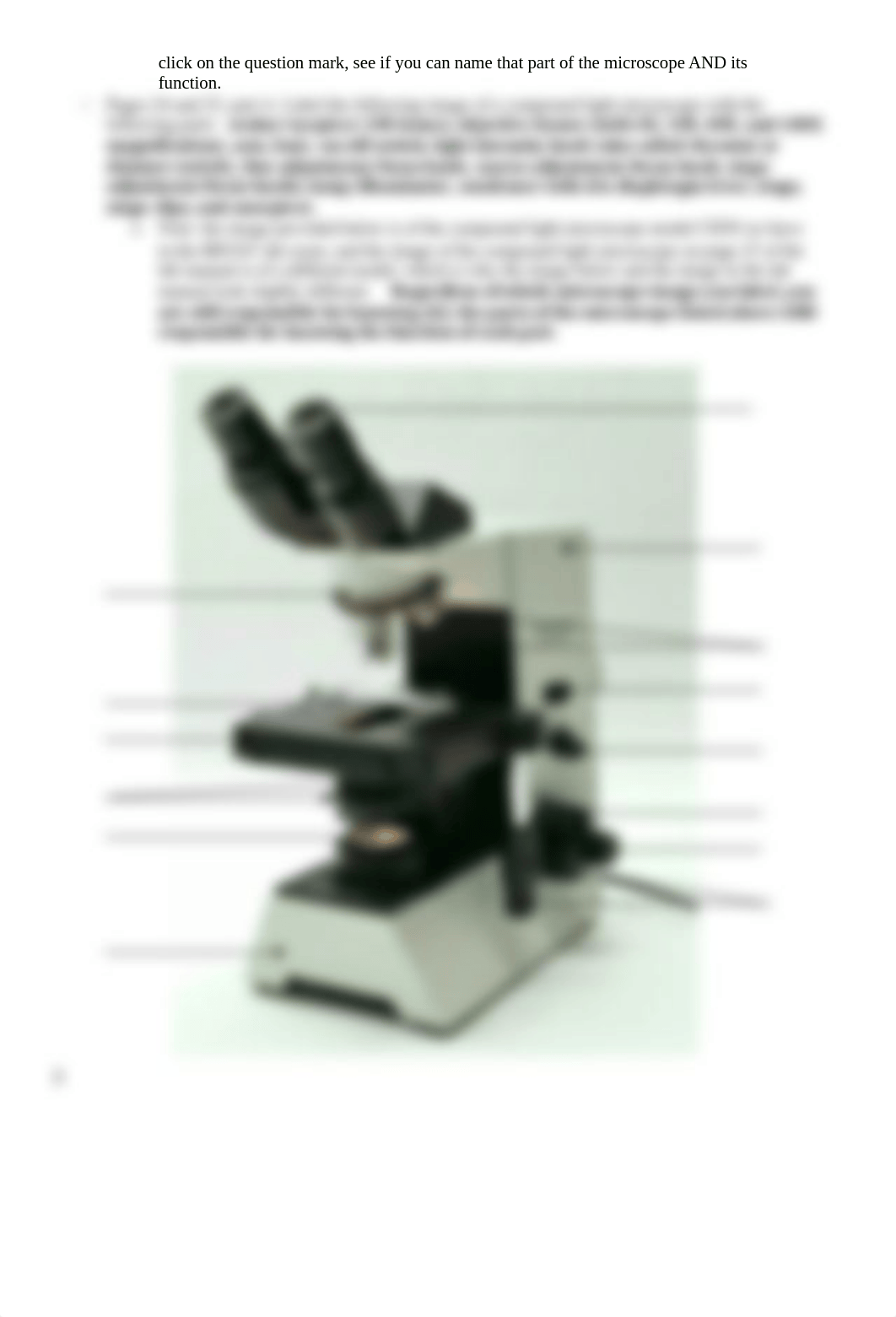 Virtual Lab 2 Microscopy and Cells_for Hybrid absense.docx_d44rt006yl3_page3