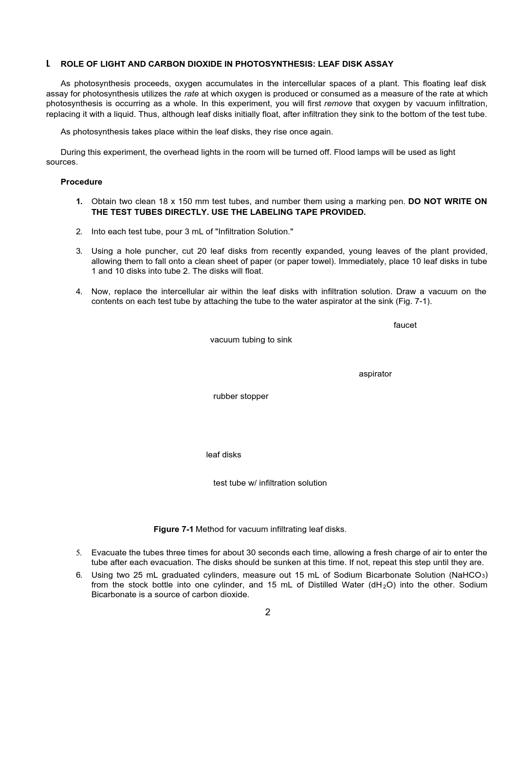 Lab 7 photosynthesis-2.pdf_d44wlrodhrc_page2