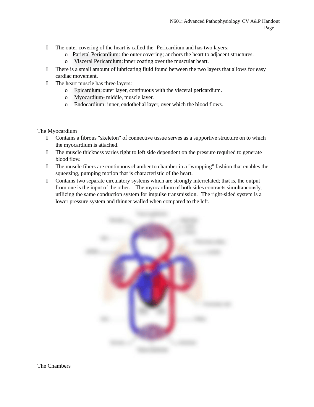 N601_CV_A&P+Pregnancy_Handout.doc_d4501xiqj52_page2