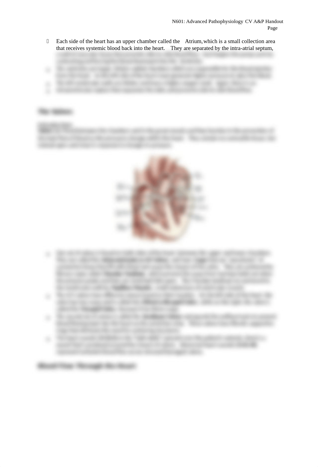 N601_CV_A&P+Pregnancy_Handout.doc_d4501xiqj52_page3