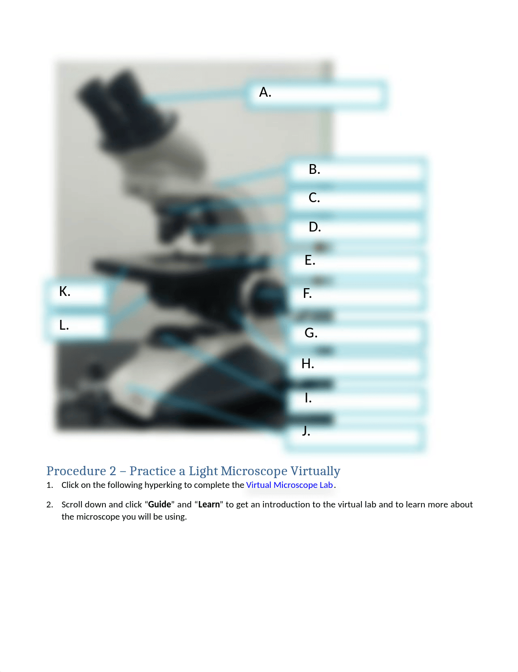 Virtual Microscope worksheet COMPLETE.docx_d457gho8xwp_page3