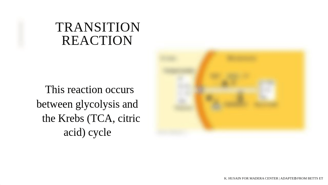 Diabetic Ketoacidosis Case Study.pdf_d45bm1o0hnf_page5