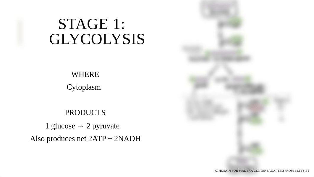 Diabetic Ketoacidosis Case Study.pdf_d45bm1o0hnf_page4