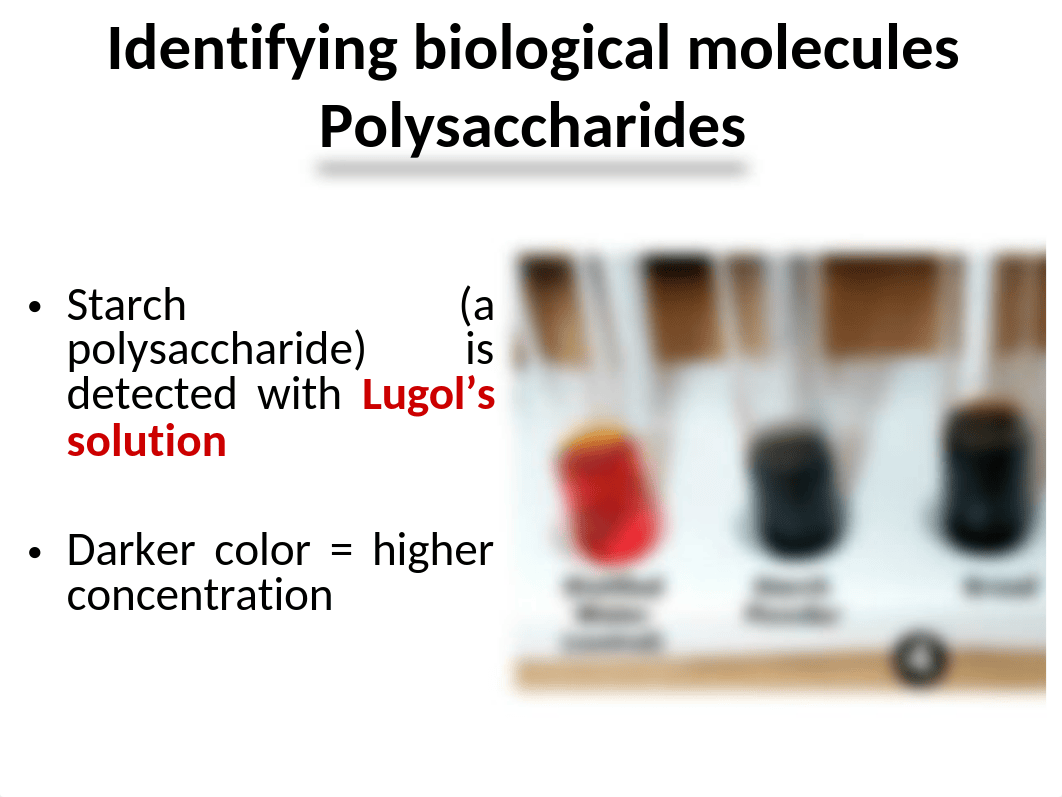 BIO 106 - Lab # 5  - The Chemistry of Life.pptx_d45hmm0h4p4_page4