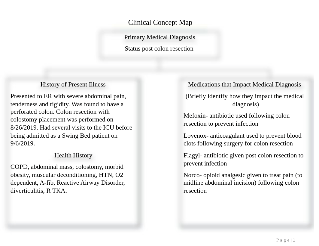 Clinical Concept Map (1).doc_d45yojxzu3c_page2