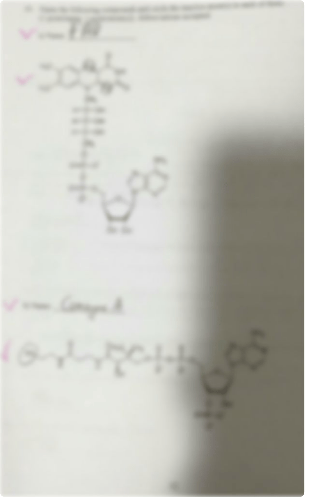 Biochem exam.pdf_d460omwpq68_page1