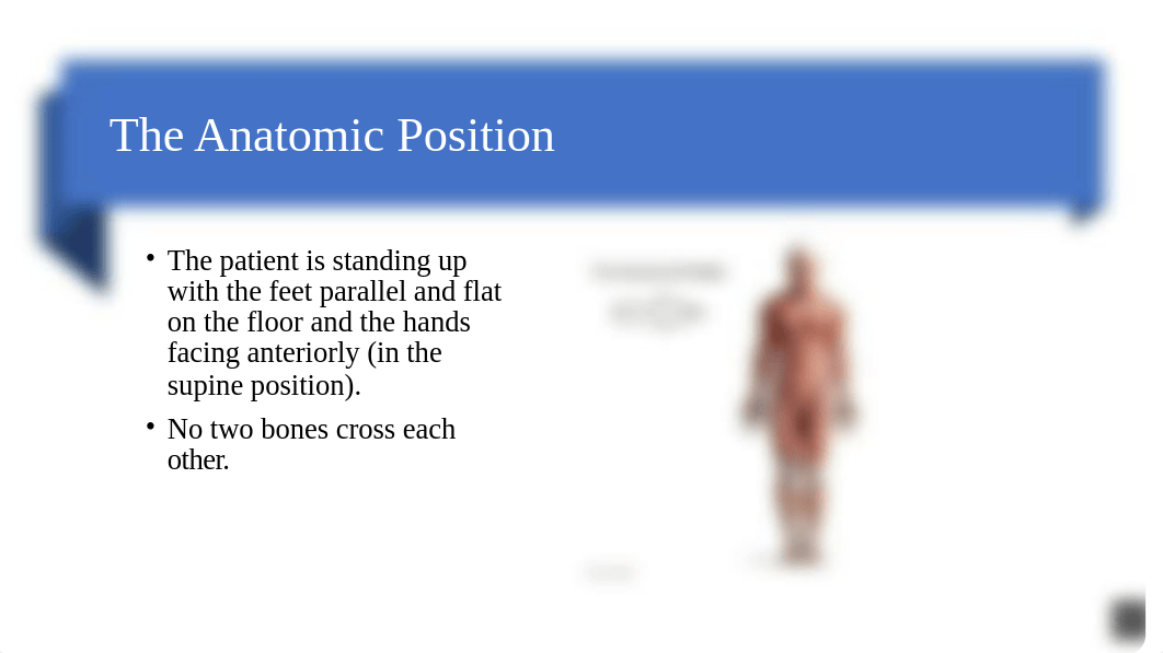 Anatomy and Physiology Orientation to Human Body(1).pptx_d46cxb9dr3t_page3