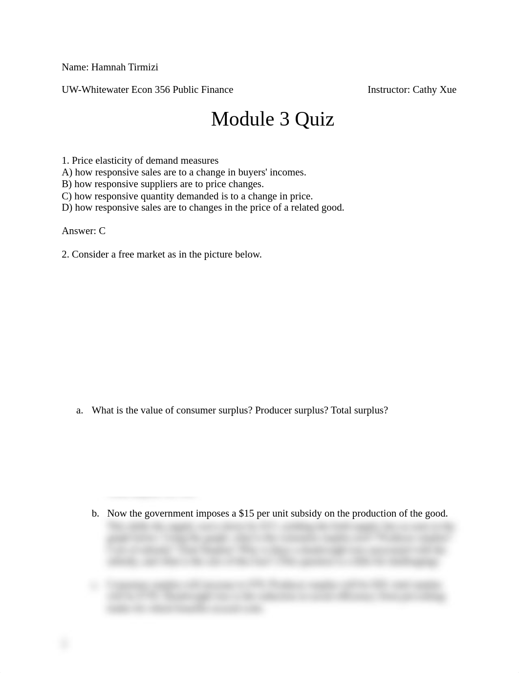 public finance quiz 3.docx_d46nfan9s5n_page1