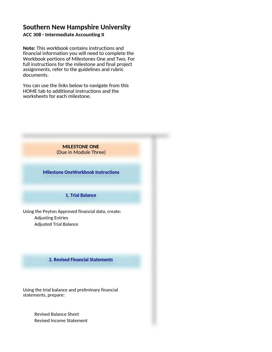 ACC 308 Final Project Workbook.xlsx_d46o2lmjvtu_page1